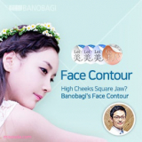 Face  Contour